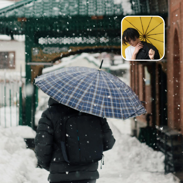 Compact Travel Umbrella